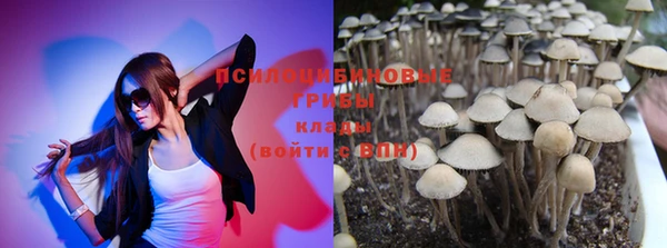 метадон Липки
