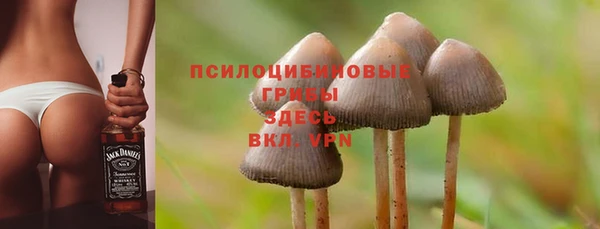 тгк Верхний Тагил