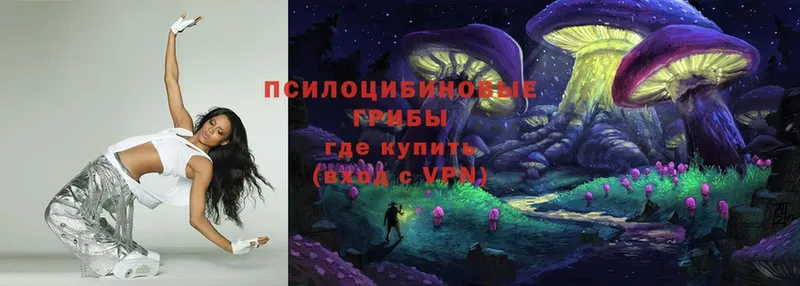 Псилоцибиновые грибы Cubensis Нестеров